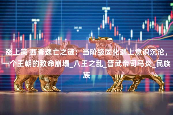 涨上策 西晋速亡之谜：当阶级固化遇上意识沉沦，一个王朝的致命崩塌_八王之乱_晋武帝司马炎_民族