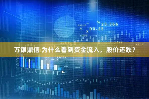 万银鼎信 为什么看到资金流入，股价还跌？