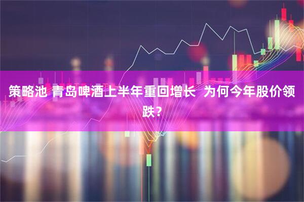 策略池 青岛啤酒上半年重回增长  为何今年股价领跌？